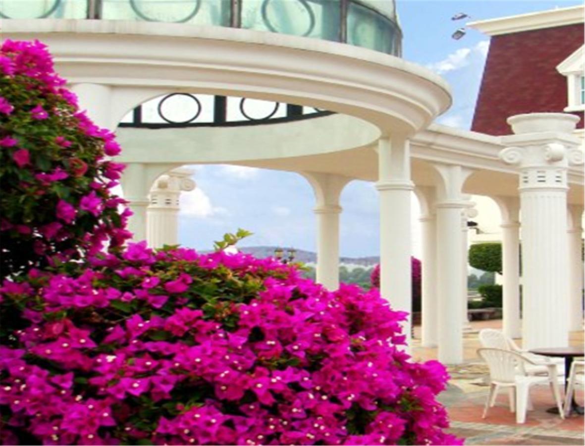 Clifford Golden Lake Hotel Foshan Exterior foto